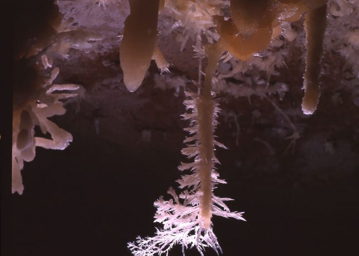 025 Silent Splendor Stalactite - Copy