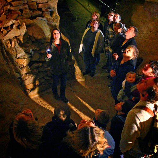Guests-looking-up-on-tour